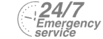 24/7 Emergency Service Pest Control in Belvedere, Lessness Heath, DA17. Call Now! 020 8166 9746