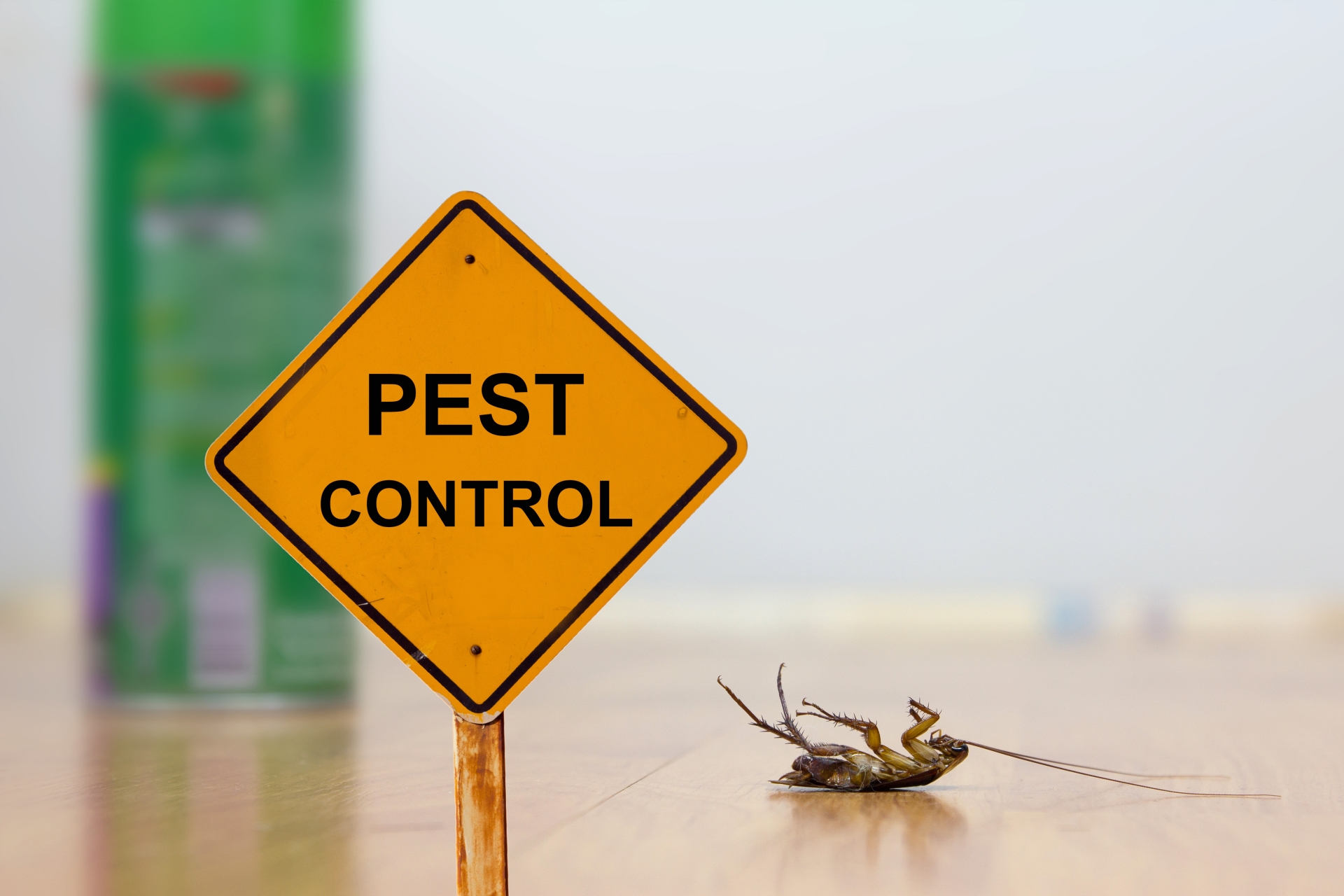 24 Hour Pest Control, Pest Control in Belvedere, Lessness Heath, DA17. Call Now 020 8166 9746